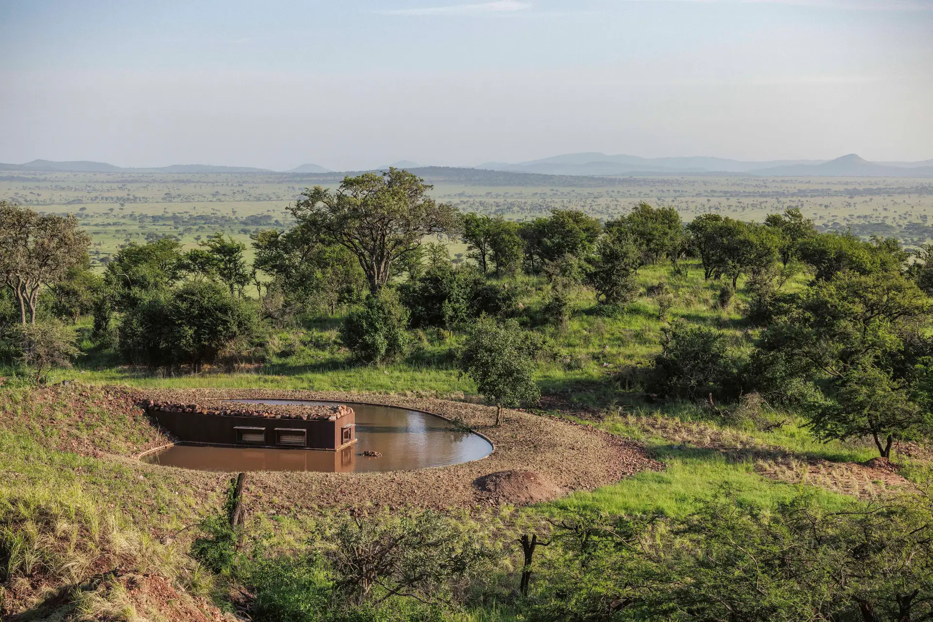 679b92851a72c2b00f1402d2_HideCloserEarllyMorning