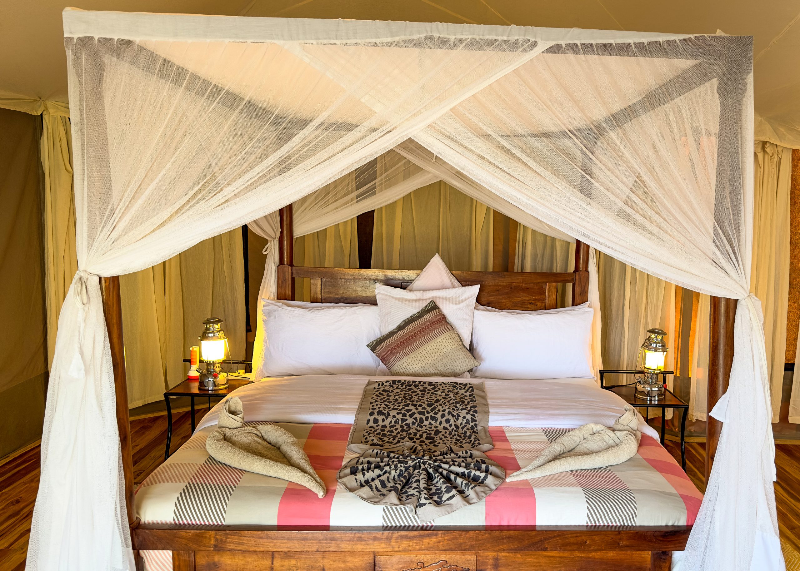 Acacia-iphone-New-58-scaled