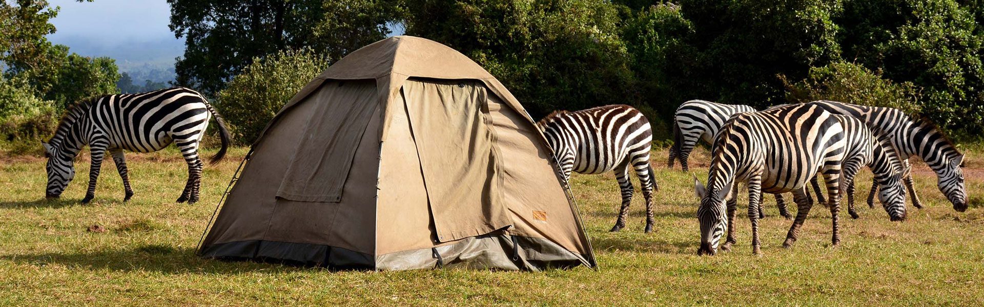 Serengeti-Public-Camp5