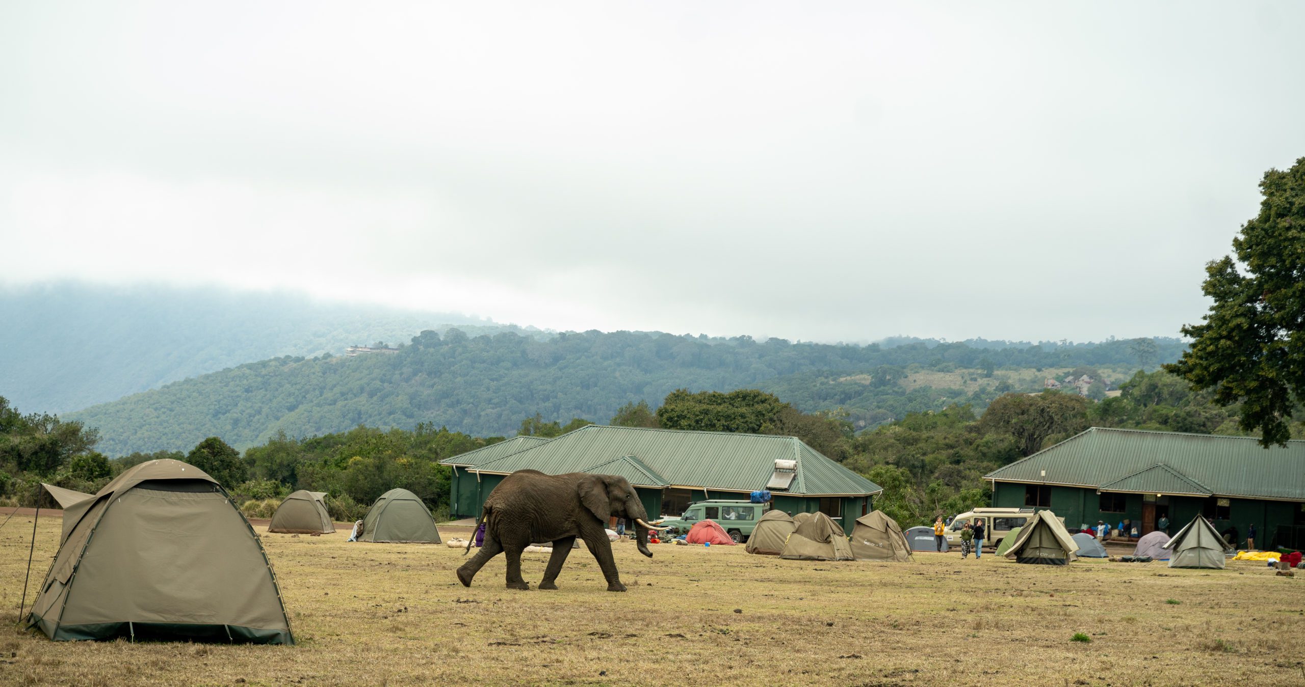 Budget-Camping-Safari-12-scaled