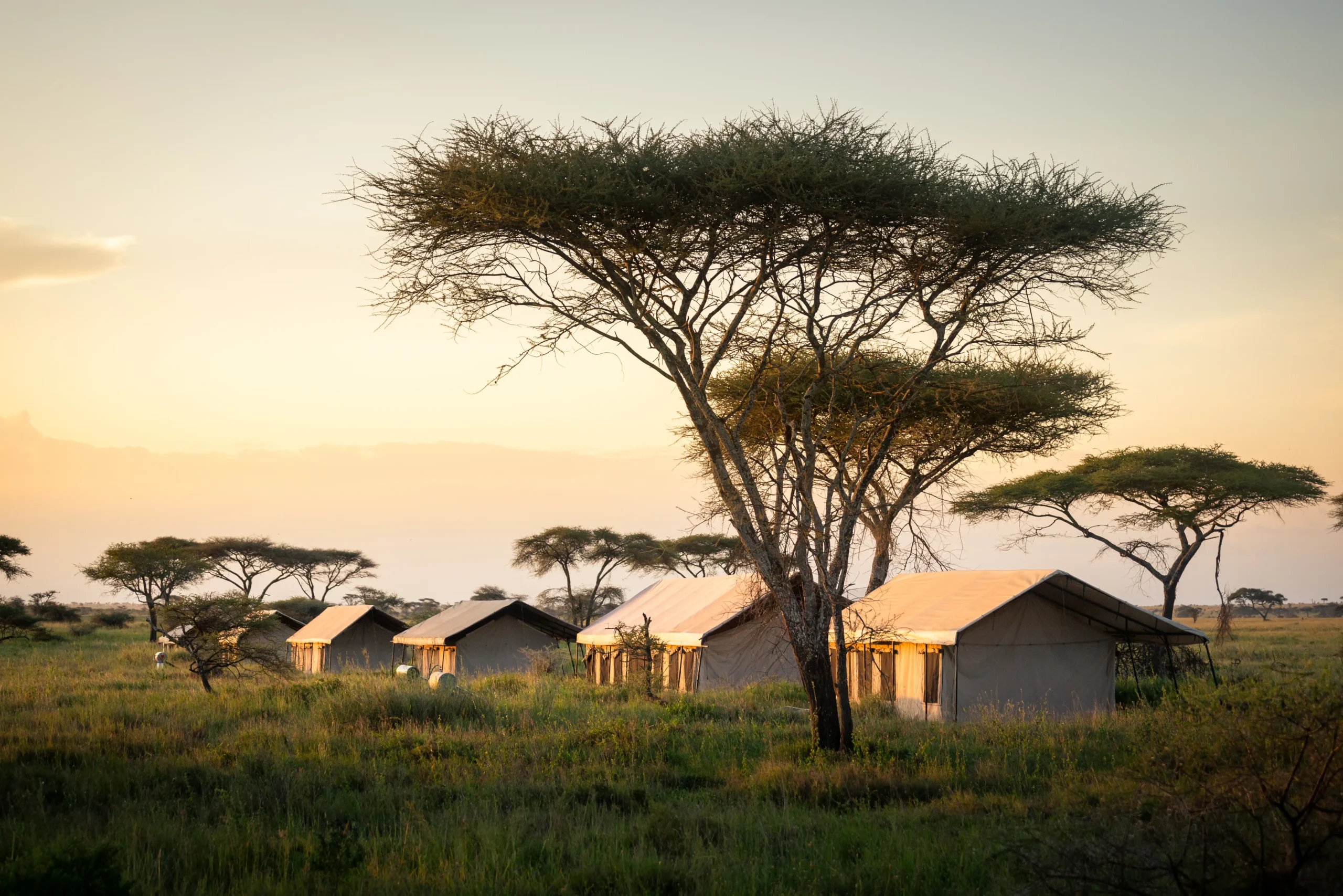 MaweCamp-Outdoor-022025-6-scaled