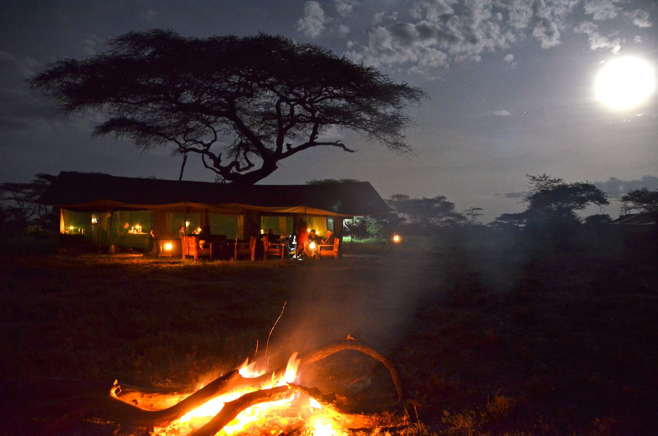 Wildlands-Mobile-Camp-Tanzanie-scaled